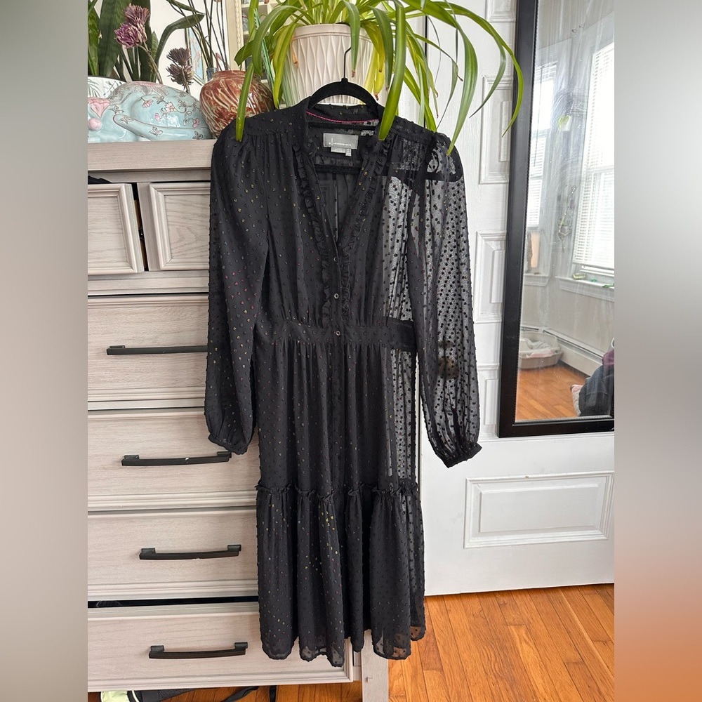Anthropologie Black Sheer Long Sleeve Dress